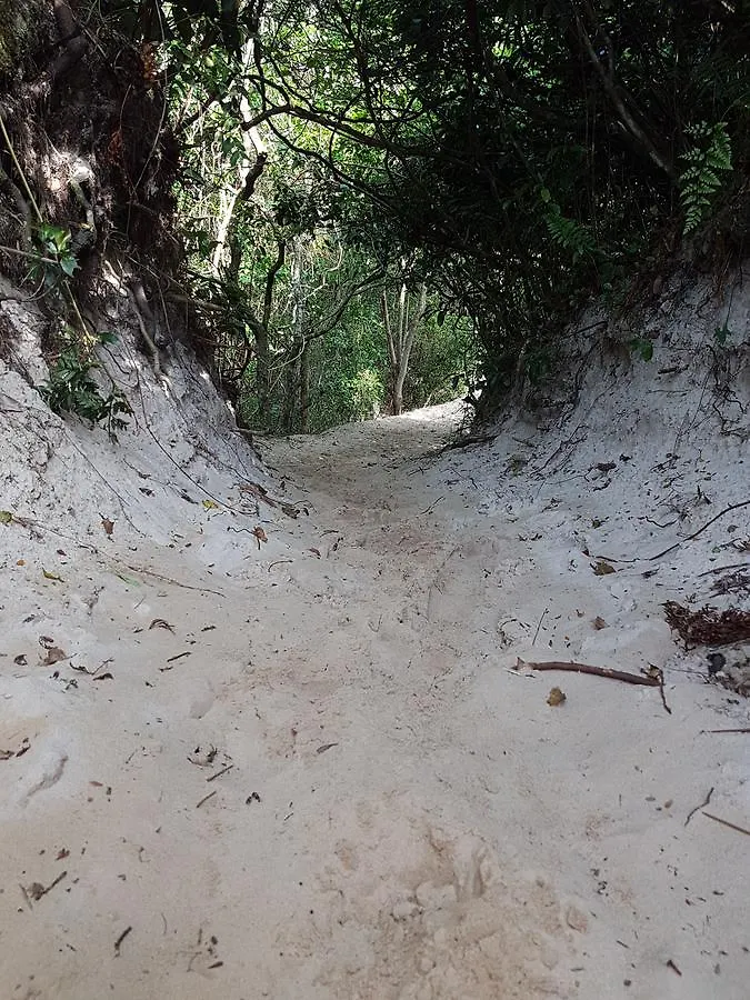 Pico Da Cruz Hostel Florianopolis Brazil